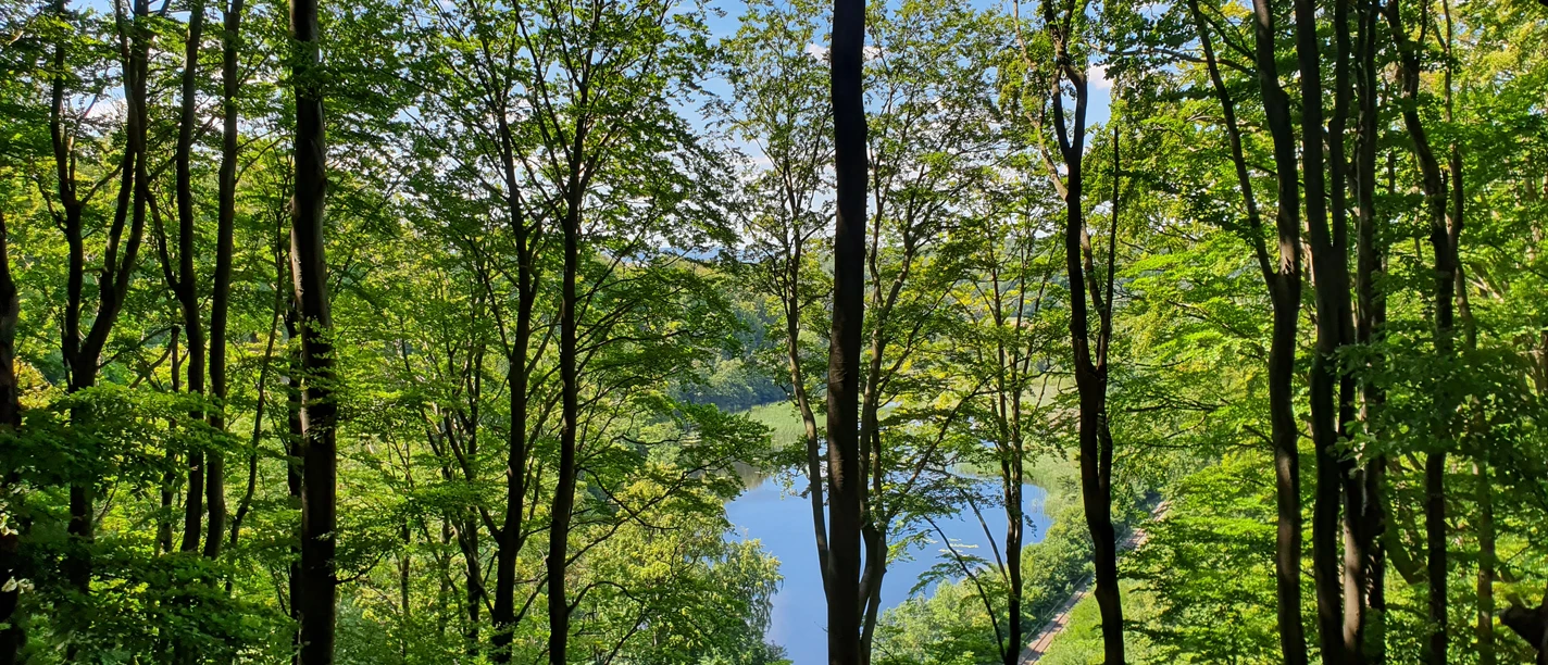 Itelteich Walkenried (c) Corinna Behnk.jpg