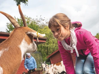 kindertag-im-wingster-waldzoo.jpg Kindertag im Wingster Waldzoo