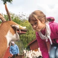 kindertag-im-wingster-waldzoo.jpg Kindertag im Wingster Waldzoo