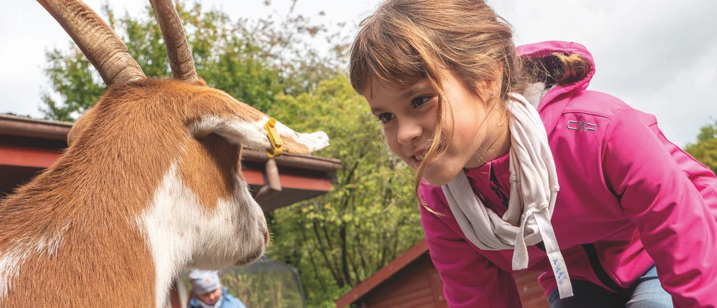 kindertag-im-wingster-waldzoo.jpg Kindertag im Wingster Waldzoo