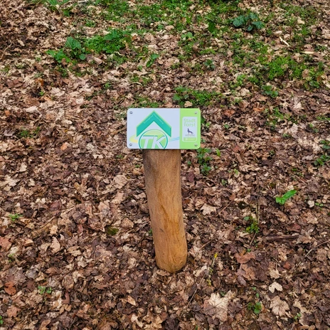 Trimmpfad - Wegweise.jpg Wegweiser für den Trimmpfad Klieversberg an einem Holzpfahl auf laubbedecktem Waldboden.