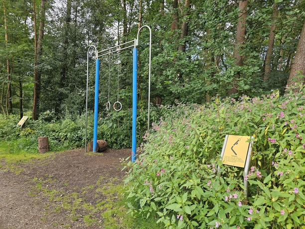 20240810_155215 (c) Tanja Mehl_Erlebnis Bremerhaven_WEB.jpg Trimm-Dich-Pfad-Station mit Ringen im Bürgerpark Bremerhaven