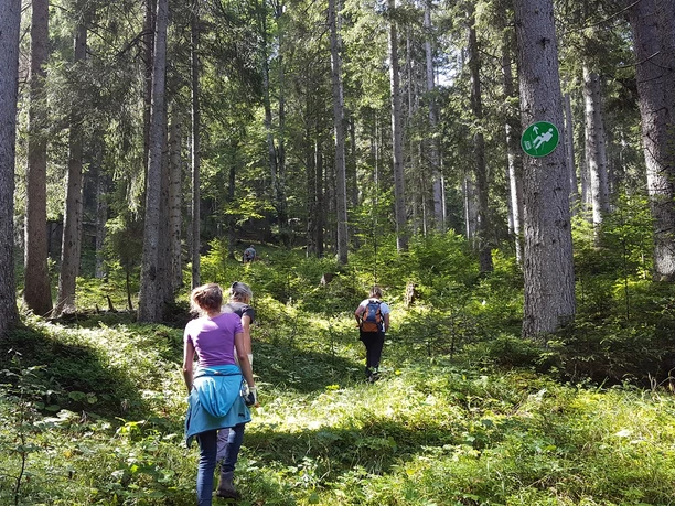 Gute Spur für Mensch und Tier - Schwenden der Scheinberg Ski-Aufstiegsroute!
