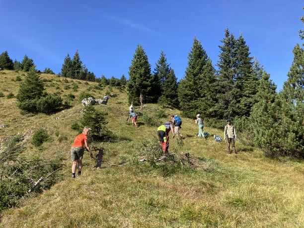 Gute Spur für Mensch und Tier - Schwenden der Scheinberg Ski-Aufstiegsroute!