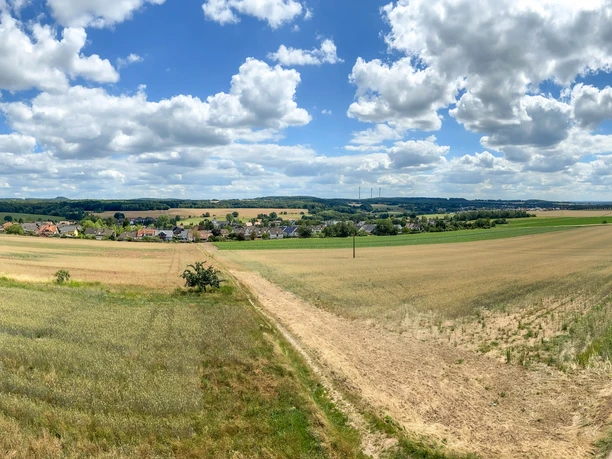 Aussicht vom Krickelsbergturm