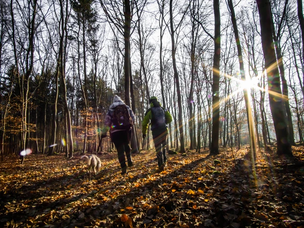 Unterwegs auf der Traumschleife Waldzeit