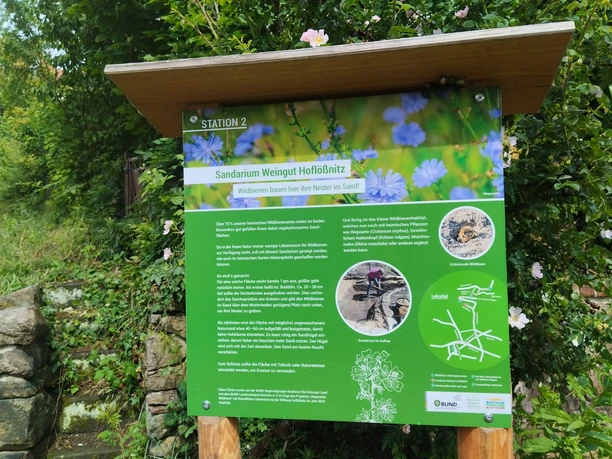 Wildbienen-Lehrpfad Station 2: Sandarium