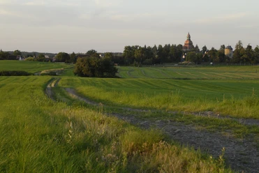 Aussichtspunkt kurz vor dem Dippelsdorfer Teich