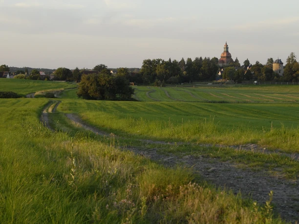 Aussichtspunkt kurz vor dem Dippelsdorfer Teich