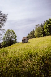 Murgtal(2)