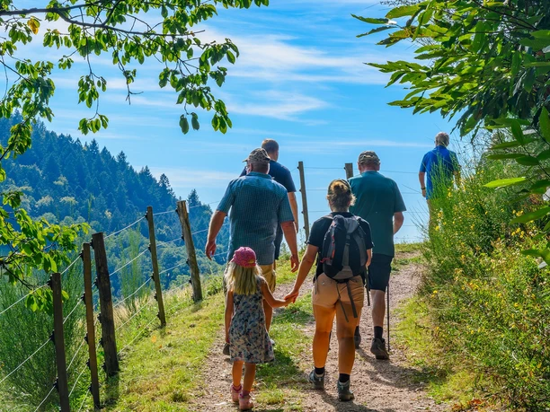 Weinwanderung