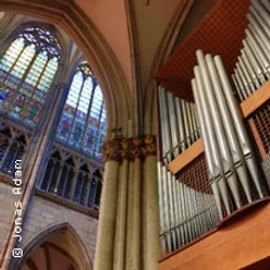 Große Orgelpfeifen im Kölner Dom vor hohen Säulen und farbigem Glasfenster