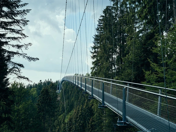Wildline Haengebruecke Bad Wildbad Im Wald