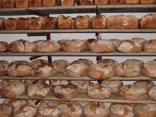 Ostmühle Steinofenbrote VVV Gildehaus.jpg