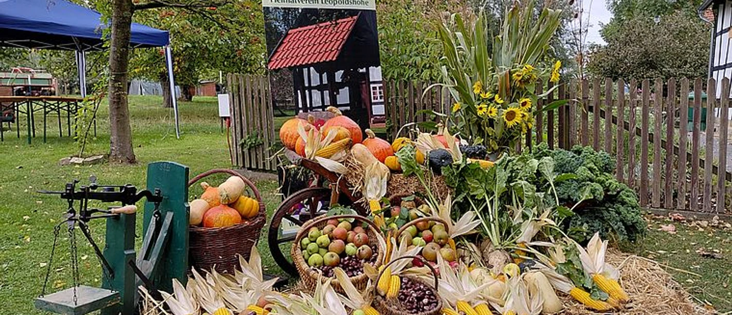 selected_csm_cropmiddle_Kartoffel-_und_Dreschfest_2026_8acc89479e.jpg