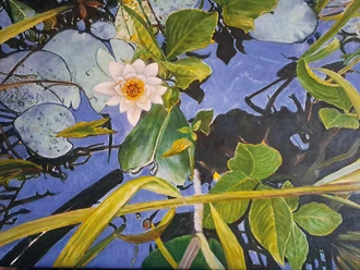 GW_Seerosenteich in Schilksee Öl auf Leinwand 50 x 70.jpg