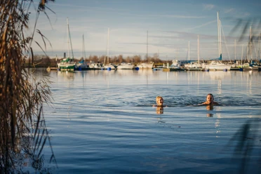 A couple swims in winter in Lake Cospuden in Leipzig's Neuseenland and the harbor with the sailboats can be seen in the background