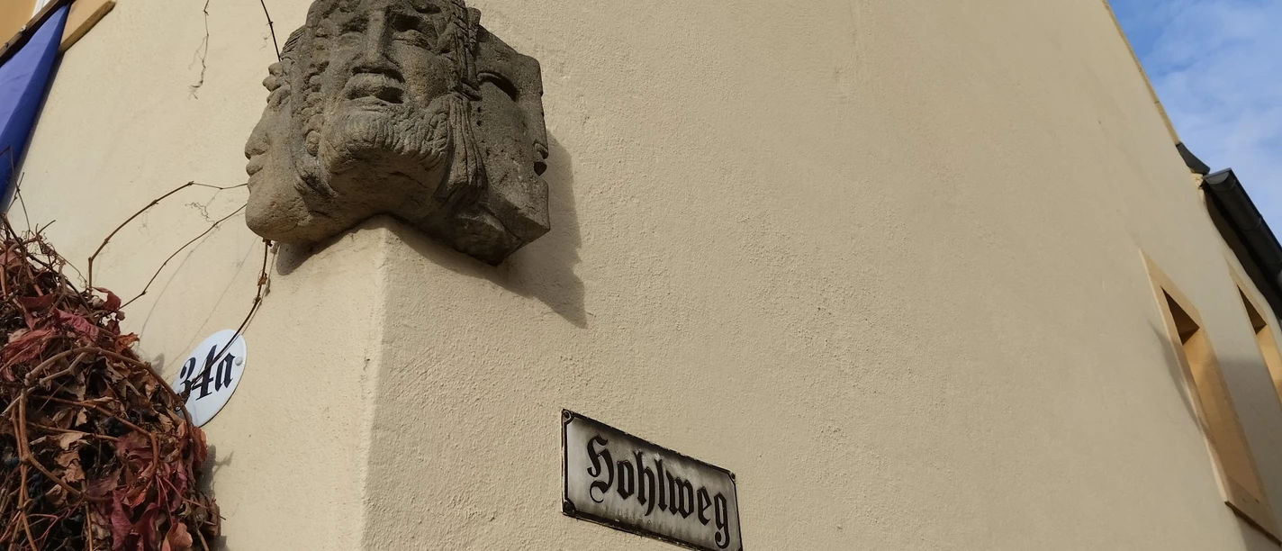Hohlweg Radebeul Wandfries