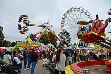 Rummel2_jure