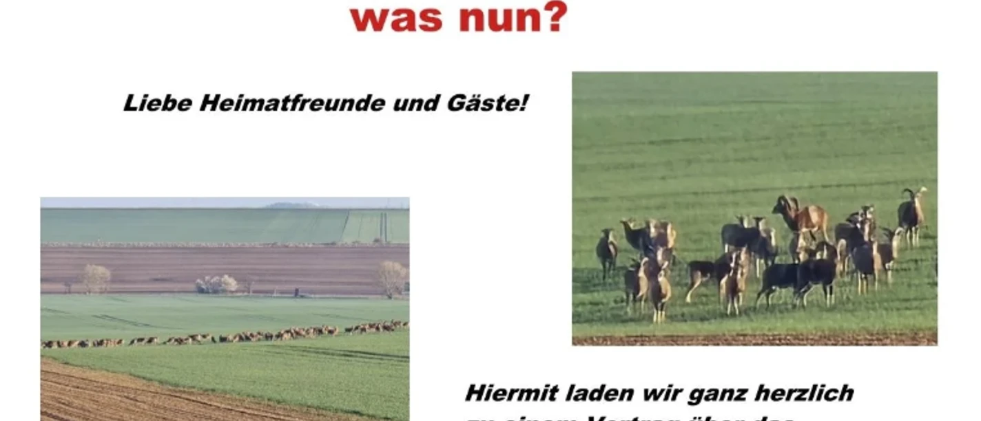 120 Jahre Muffelwild.png