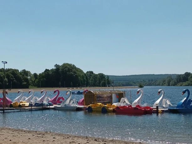 Bunte Tretboote und Schwanenboote an einem Steg am Strand des blauen Salzgittersees.