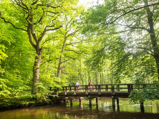 Foto Dominik Ketz LHG Ilmenau Loreley bei Uelzen.jpg Zwei Radfahrer fahren über eine Holzbrücke über die Ilmenau in einer grünen Waldlandschaft bei Uelzen
