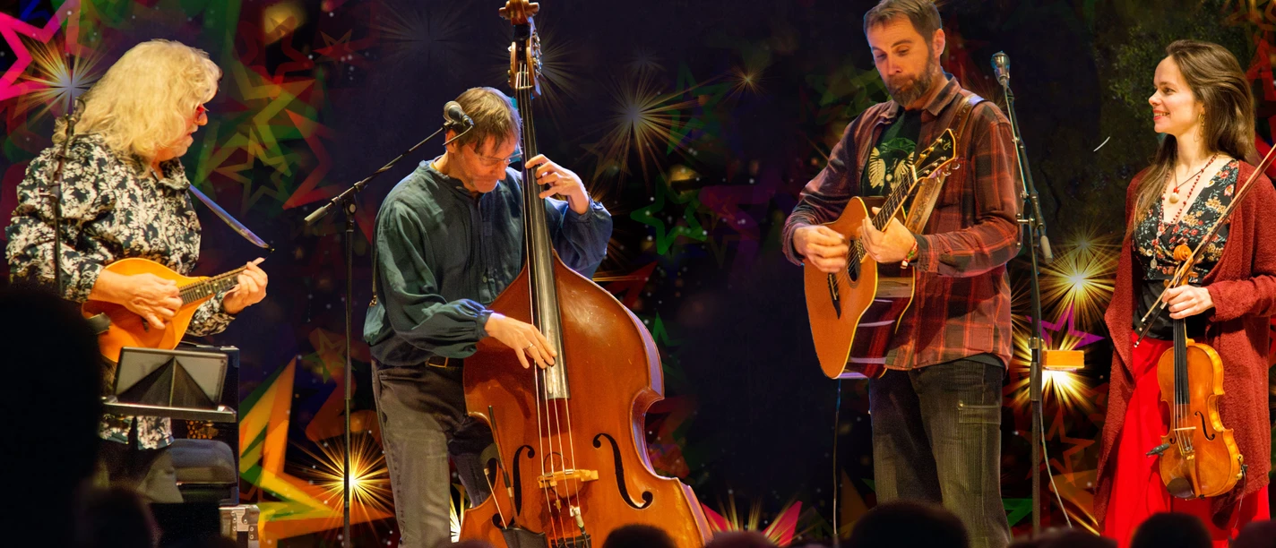 Irish Christmas - Foto Seldom Sober Quartett - Rechte Michael Proschek.jpg
