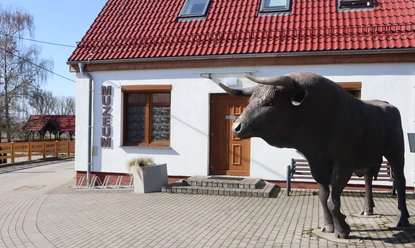 Burgmuseum Santok Kuh vor einem Haus mit rotem Dach