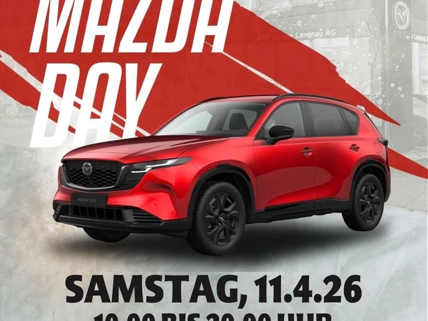 WhatsApp Image 2026 03 26 at 15 42 29