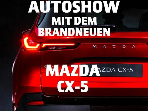 WhatsApp Image 2026 03 26 at 15 42 29 (1)