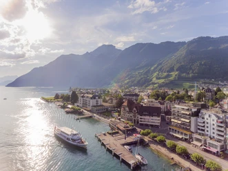 DJI 0344 swiss kinfe quai brunnen (c)zuerrer