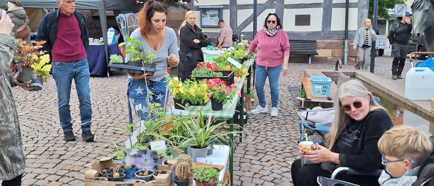 Touristikverein Zierenberg (1)