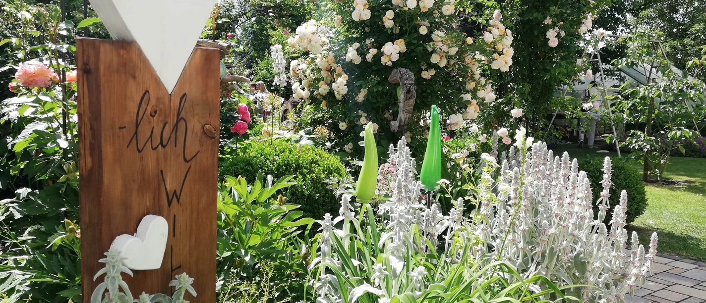 20220612_Haldorf-ccby NPH-JS