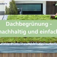 Dachbegrünung - nachhaltig und einfach