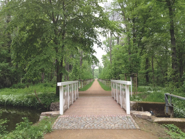 Schlosspark Rötha Eine malerische Brücke führt zu einer von Bäumen gesäumten Allee im Schlosspark Rötha, die den Blick ins Grün und auf den Parkweg lenkt.