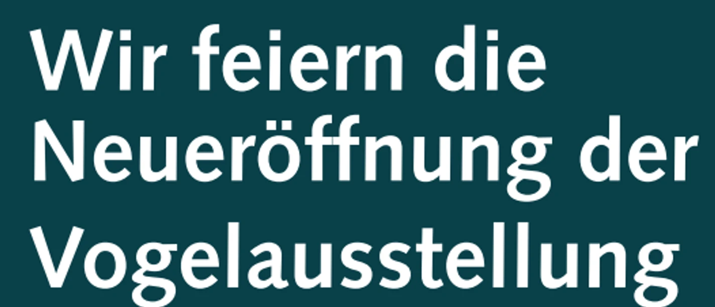 Vogelaustellung.png