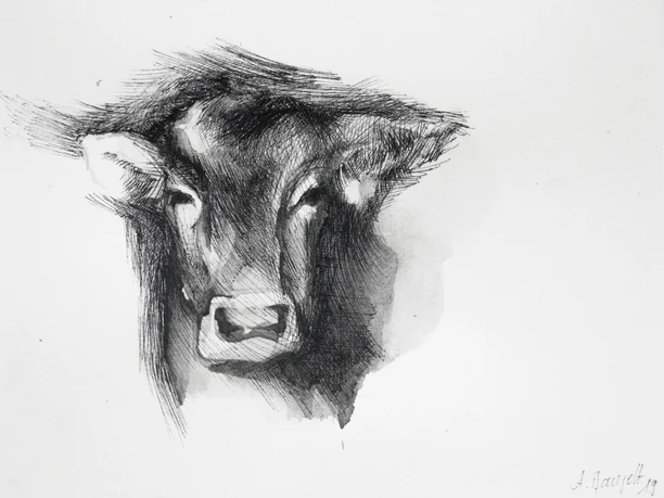 Portrait Kuh - Anna Pfanzelt