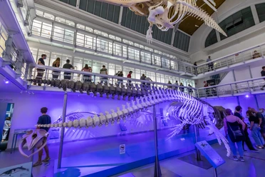Museumnacht Kiel