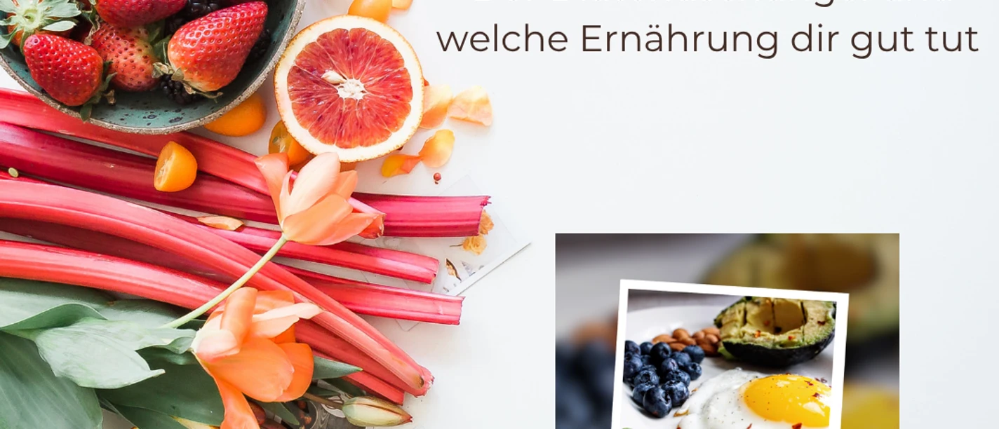 Diätendschungel social Media.png