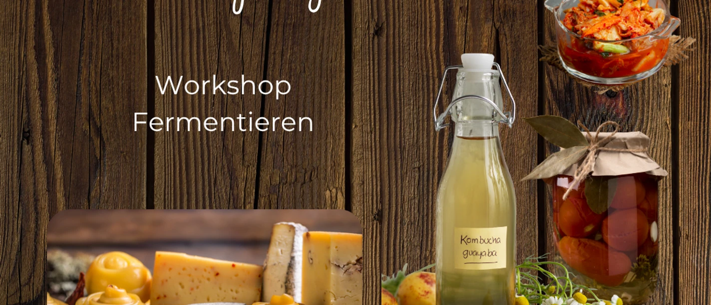 Fermentieren social Media.png