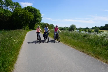 Fahrradtour Steinhuder Meer bis zur Weser Drei Radfahrer die in der Natur einen Weg entlang fahren
