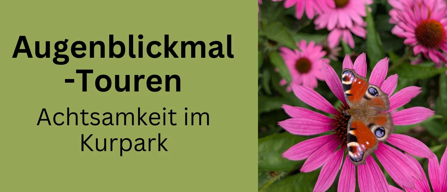 Augenblickmal-Touren in Bad Sassendorf