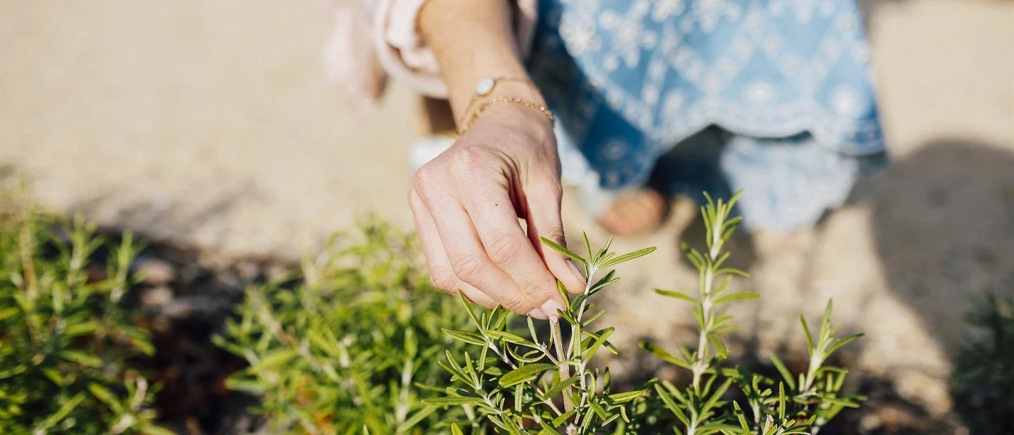 Staatsbad Salzuflen_Pflanze berühren_1_