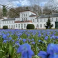 Alter Kurpark_Blütenmeer_Badehaus_BS.jpg
