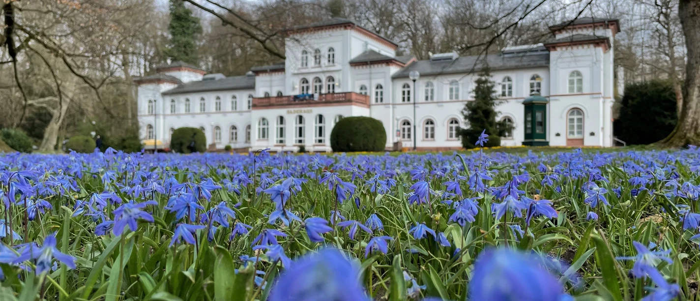 Alter Kurpark_Blütenmeer_Badehaus_BS.jpg