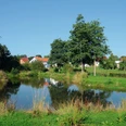 Haubern Dorfteich.jpg