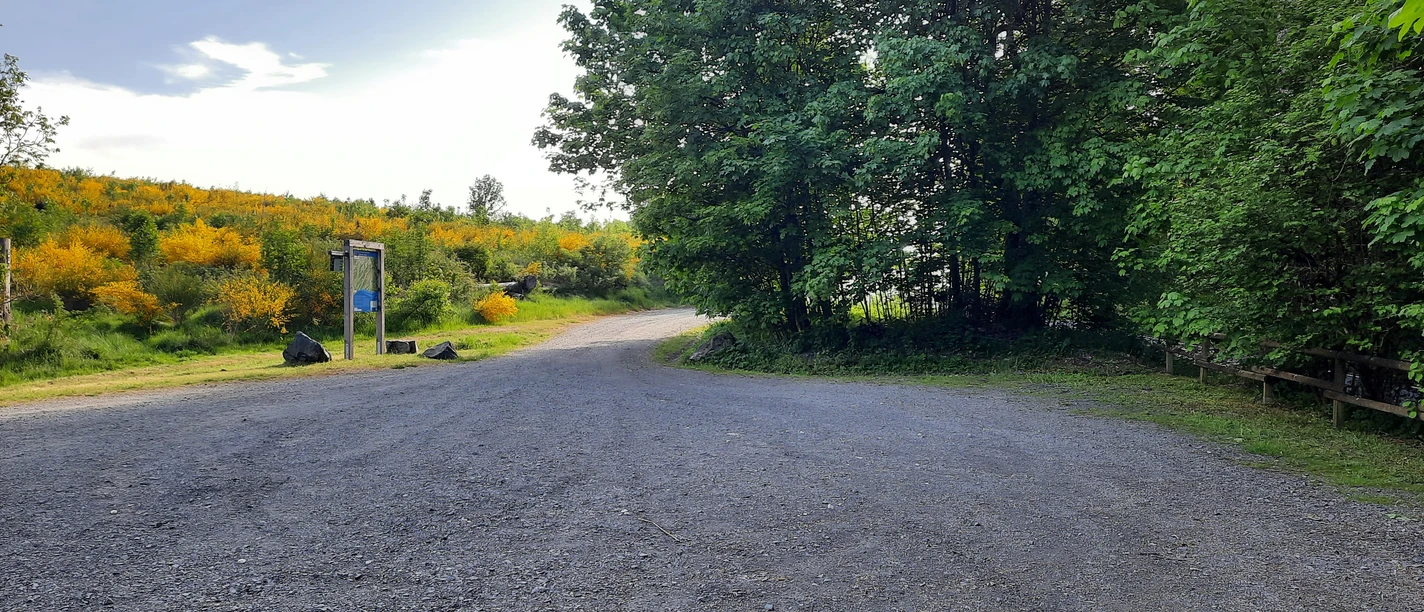Ausgangspunkt zum Erwandern des Ilsetals