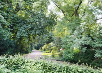 Bürgerpark_OSB_B Kohn.jpg