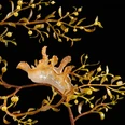 Modell Sargassum-Nacktschnecke Scyllaea pelagica. Foto Sven TrŠnkner.jpg