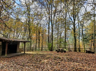 Rastbereich am Wanderparkplatz Dornhecke